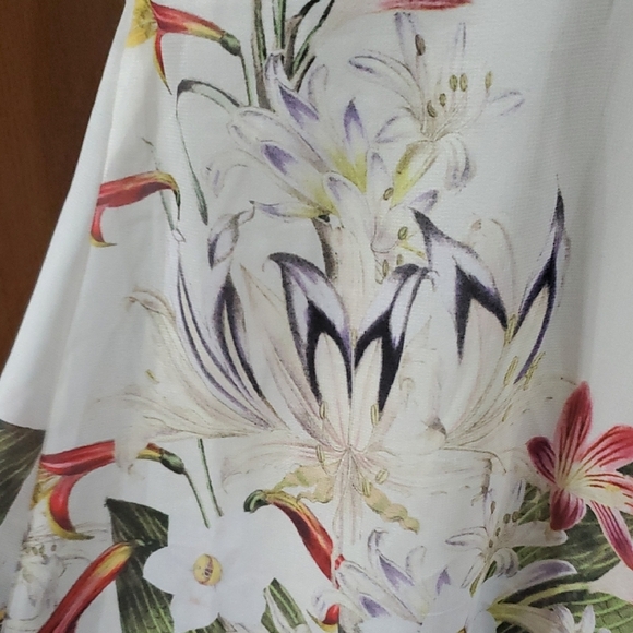 Soft Surroundings Pink and Cream A-Line Midi Skirt Resort Wear - Picture 6 of 6